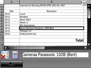 Landscape mode - spreadsheet