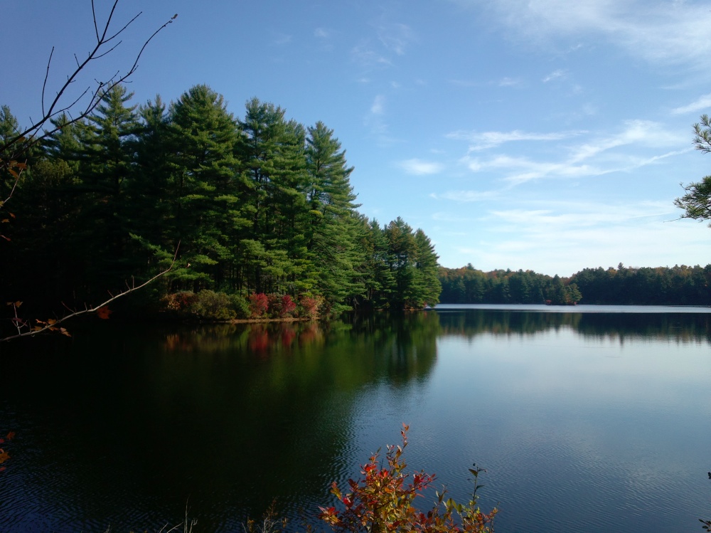 Nokia 701 EDoF example