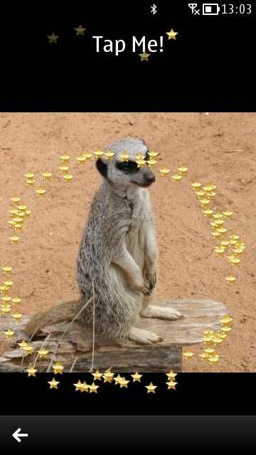 Animal Fun screenshot