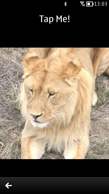 Animal Fun screenshot