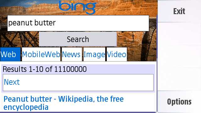 Bing widget screenshot