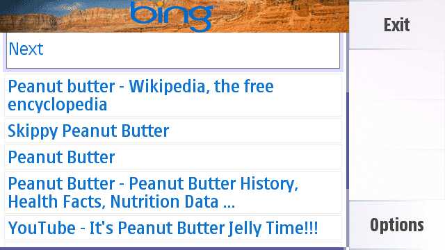 Bing widget screenshot