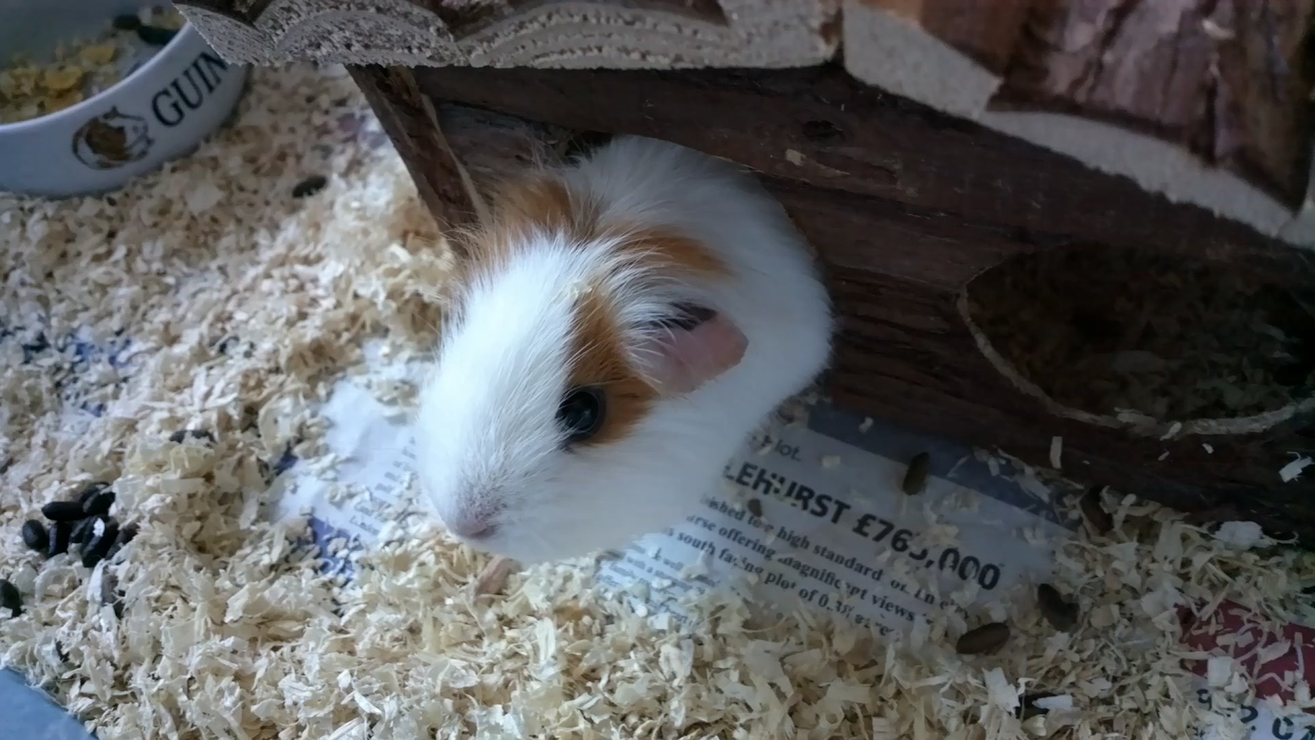 Screenshot, Burst Camera