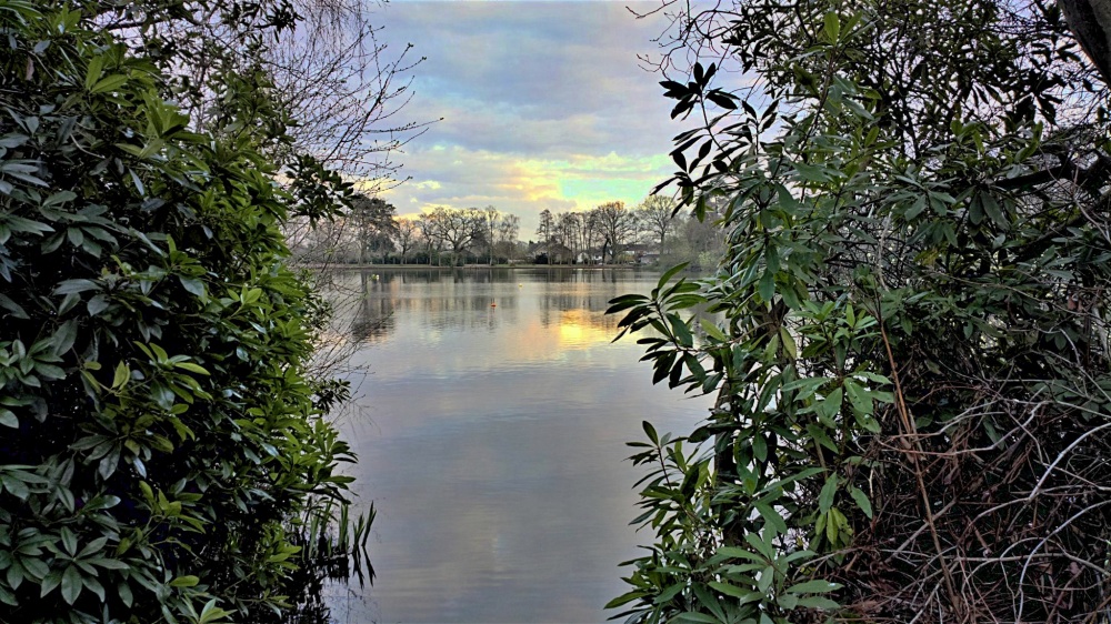 Example photo, click to download or enlarge