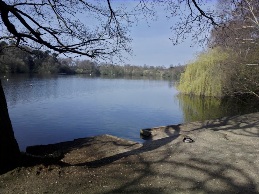 Example photo, click to download or enlarge