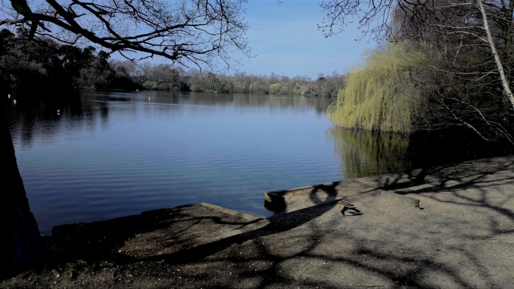 Example photo, click to download or enlarge