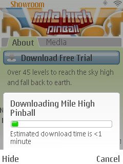Screenshot - Mile High Pinball
