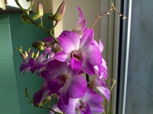 click to download or enlarge