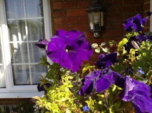 click to download or enlarge