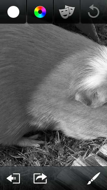 Screenshot, ColorizIt