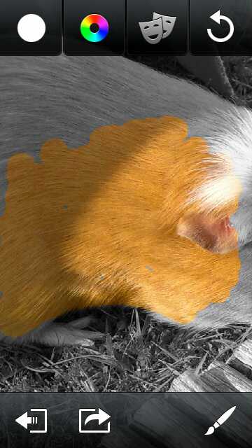 Screenshot, ColorizIt