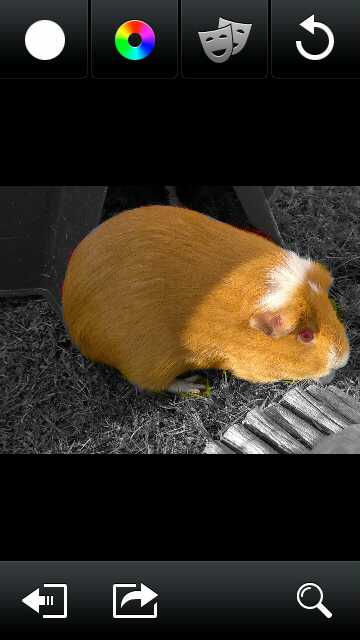 Screenshot, ColorizIt