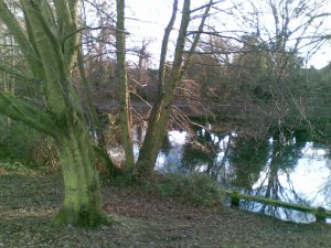 Sample photo from E63