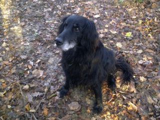 Sample photo, click to enlarge or download