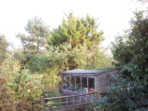 Click to download or enlarge