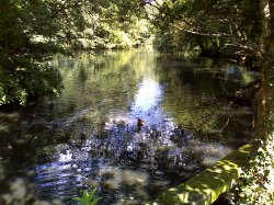 Click to enlarge or download!