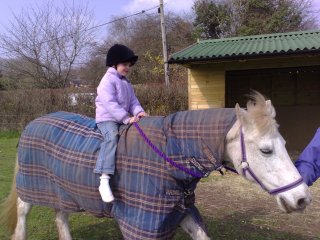 Example photo from N95, click through for 5mp original