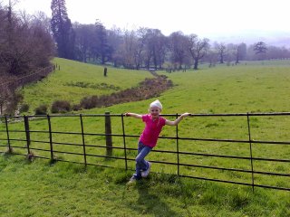 Example photo from N95, click through for 5mp original