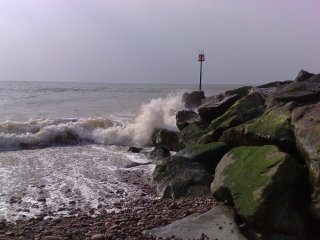 Example photo from N95, click through for 5mp original