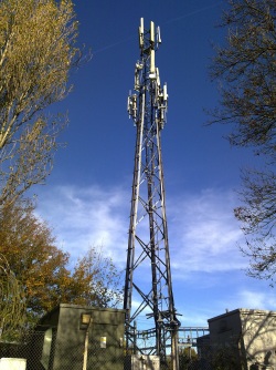 Click to download or enlarge