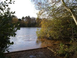 Click to download or enlarge