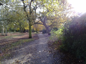 Click to download or enlarge