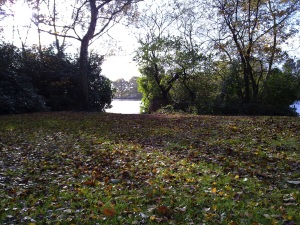 Click to download or enlarge