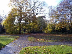 Click to download or enlarge