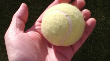 Nokia 700 photo sample, click to download or enlarge