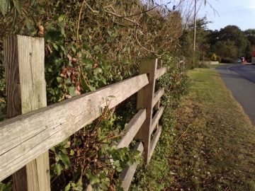 Nokia 700 photo sample, click to download or enlarge