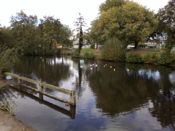 Nokia 700 photo sample, click to download or enlarge