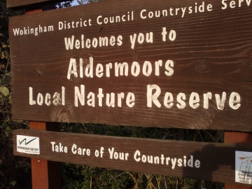 Nokia 700 photo sample, click to download or enlarge