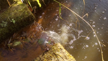 Nokia 700 photo sample, click to download or enlarge