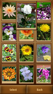 Spb Puzzle screenshot