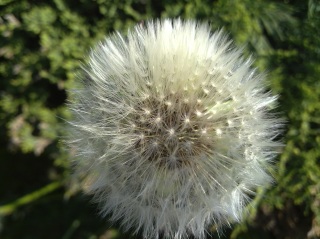 Nokia X6 photo sample - click to download or enlarge