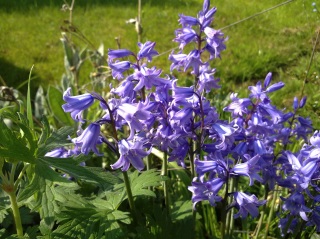 Nokia X6 photo sample - click to download or enlarge