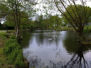 Nokia X6 photo sample - click to download or enlarge